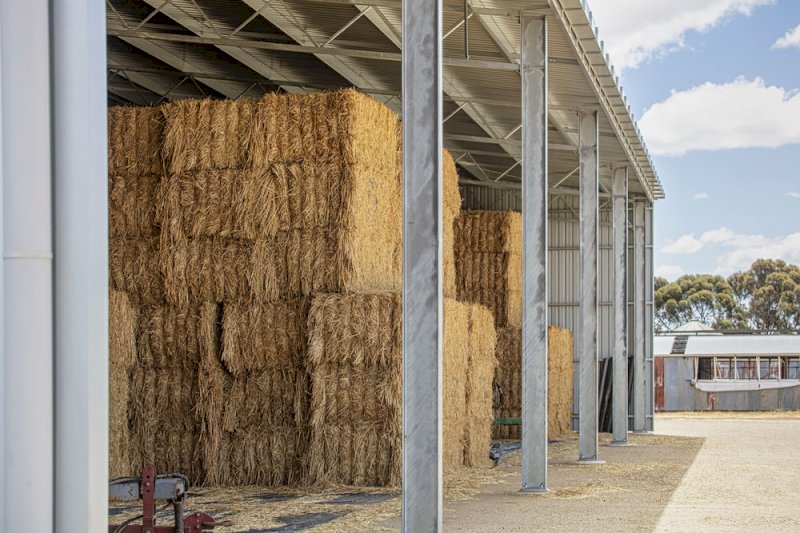 Entegra 1700 Series (1700 8x5x3 Bale Shed)