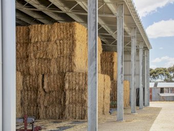Entegra 1700 Series (1700 8x5x3 Bale Shed)