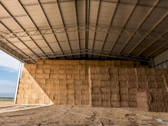 Entegra 2800 Series (2800 8x6x3 Bale Shed)