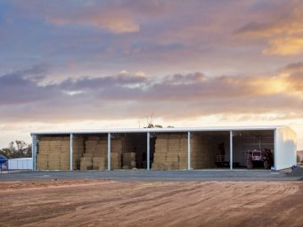 Entegra 2800 Series (2800 8x6x3 Bale Shed)