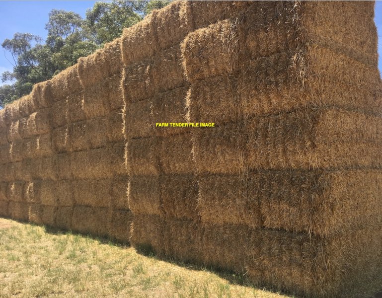 Barley Straw 8x4x3 Bales  New Seasons