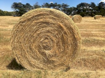 400 x Oaten / Rye Hay 400kg 5x4 Round Bales (New Season 21/22)