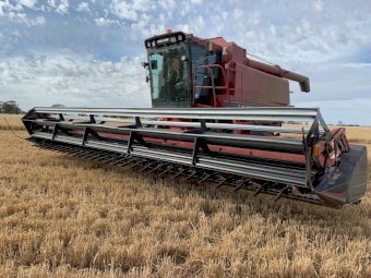 1995 Case IH 1688 Header with 30ft 1010 Front