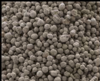 **HOT PRICE** MAP Ex Geelong - Available Now!!