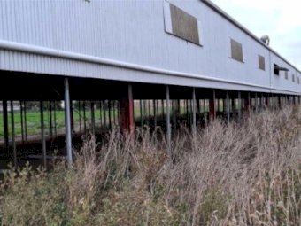 Hardwood Grating 250 Sq M