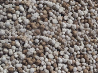 MAP/Superfect Blend - Ex Geelong