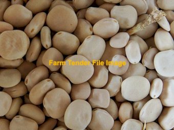 100-150 ton of Albis Lupins