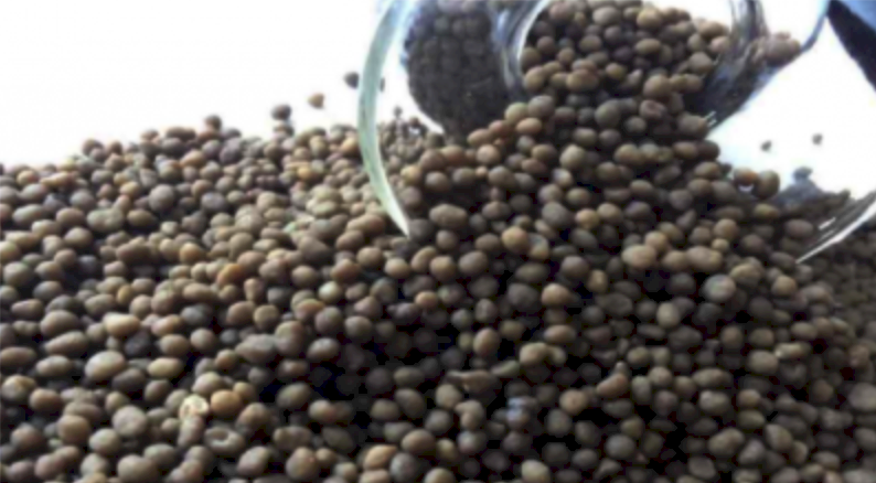 **Great Price** DAP - Ex Geelong - January Collection