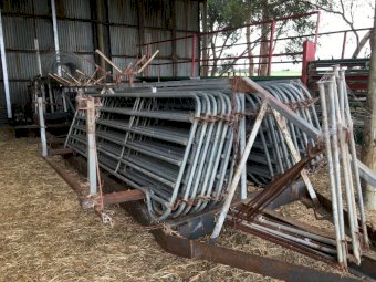 Portable Sheep Yards