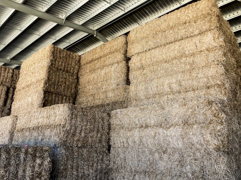 400mt Vetch Hay 700kg 8x4x3 Bales