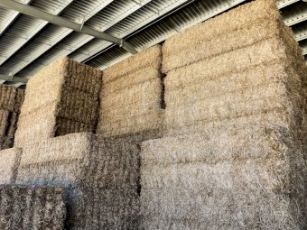 400mt Vetch Hay 700kg 8x4x3 Bales