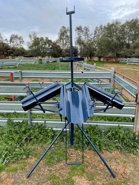 Lyco 5 Berth Lamb Marking Cradle