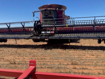 2016 Case IH 2152 45ft Draper Front