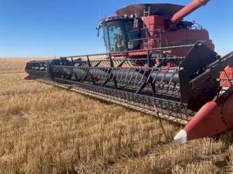 2016 Case IH 2152 45ft Draper Front