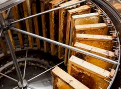 Stainless steel SAF Natura Honey Extractor