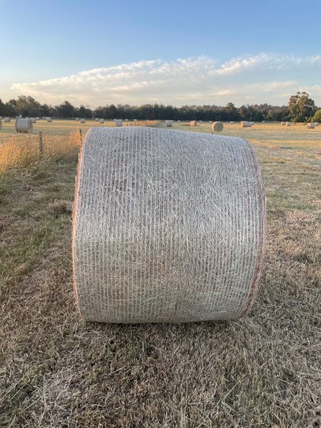 Expression of interest in standing pasture for Hay