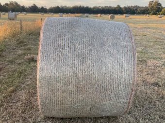 Expression of interest in standing pasture for Hay