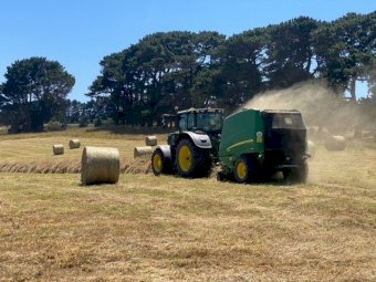 500 Organic Pasture Hay Rolls