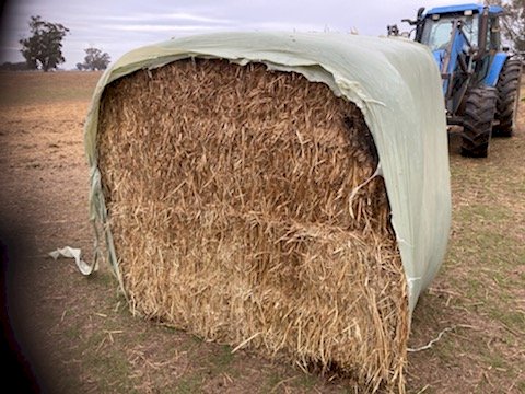 40 x Bales Silage