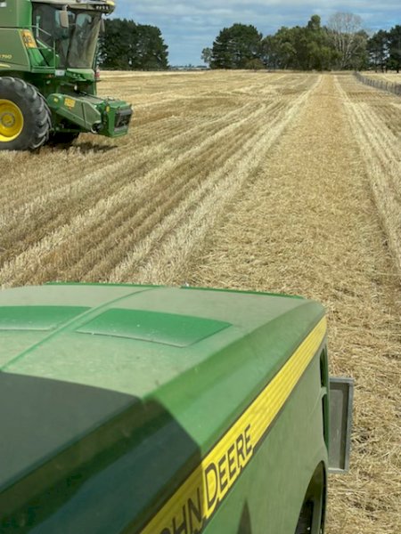 Wheaten Straw  8x4x3 Bales