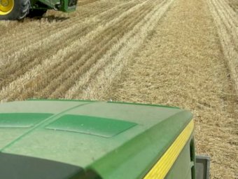 Wheaten Straw  8x4x3 Bales