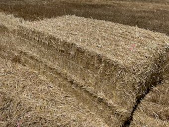 Wheaten Straw  8x4x3 Bales