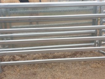 Under Auction - (A166) 10 x Sheep Panels 2.1m 