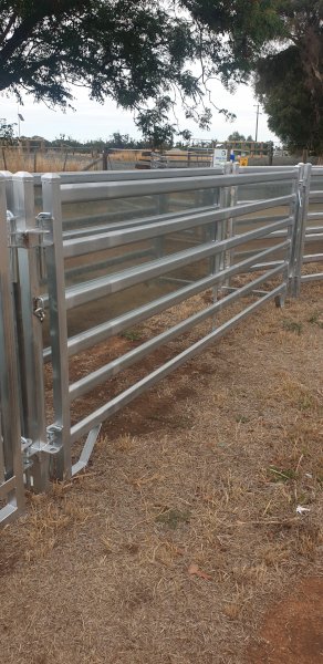 (A166) 10 x Sheep Panels 2.8m