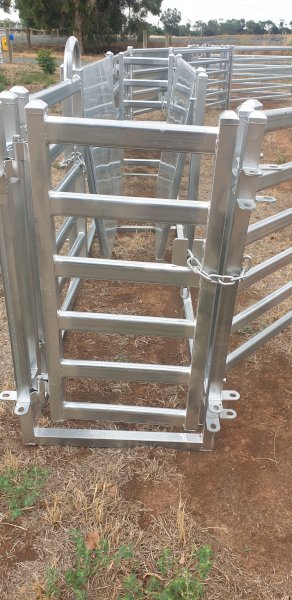 Under Auction - (A166) Adjustable Sheep Draft 