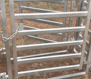 Under Auction - (A166) Adjustable Sheep Draft 