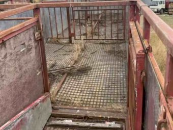 Smith 40'  2 x 1 Cattle Crate