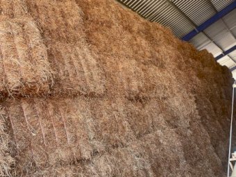 120mt Vetch Hay 600kg+ 8x4x3 Bales (New Season 21/22)