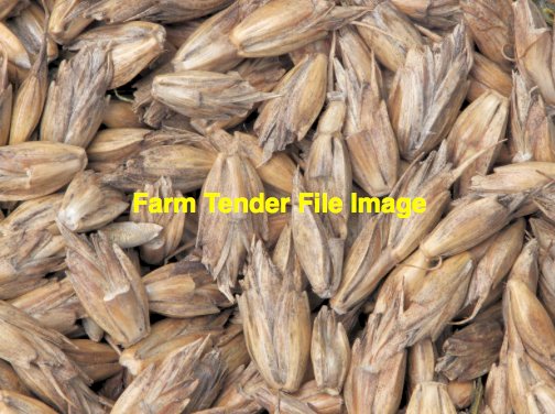 Organic Spelt & and Barley