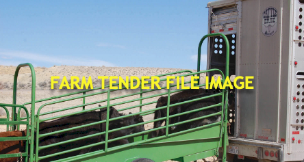 WANTED Portable Cattle Ramp