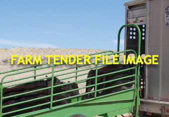 WANTED Portable Cattle Ramp