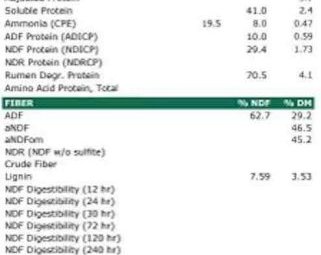 5 x 4 Round Bales of Barley Hay