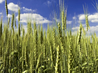 **Get in fast** SLAM (SOA) - Available now