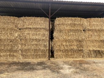 Oaten 8x4x3 Bales