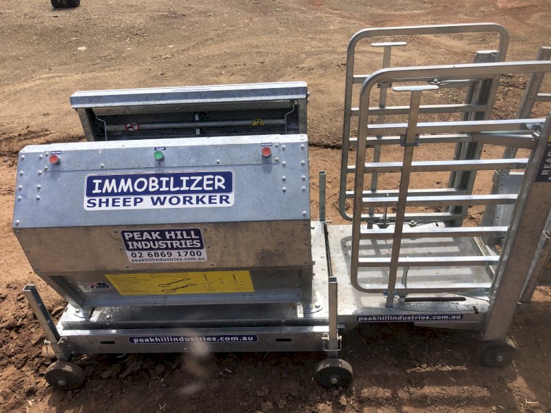 2019 Peak Hill sheep immobiliser