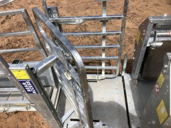 2019 Peak Hill sheep immobiliser