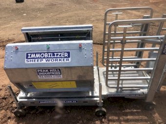 2019 Peak Hill sheep immobiliser