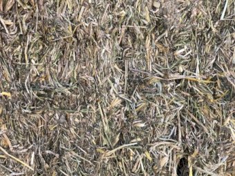 Lucerne Oaten Mix Hay