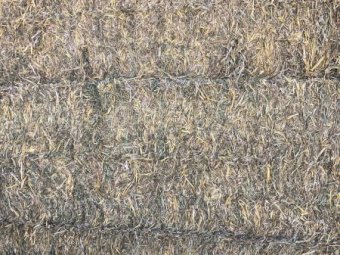 Lucerne Oaten Mix Hay