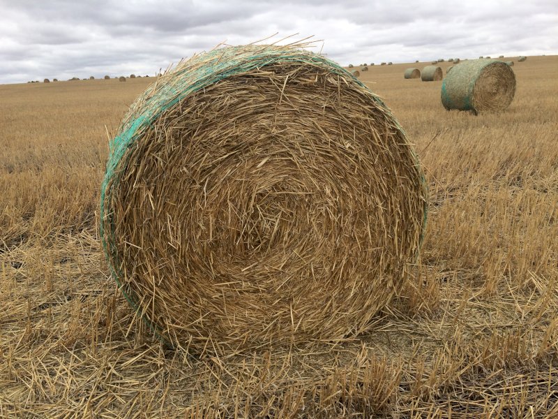 Wheaten Straw 5x4 Round Bales