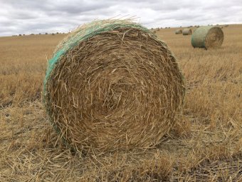 Wheaten Straw 5x4 Round Bales