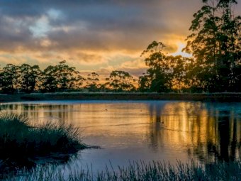 64 HA (158 AC) of superb North West Tasmanian Lifestyle Living
