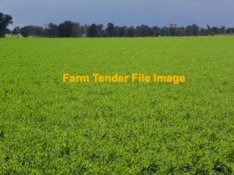Lease Available for Cropping and Grazing Land  5 + 5, 28 Feb start, 6500 acres @ $15 per acre, near Mildura. Be quick!