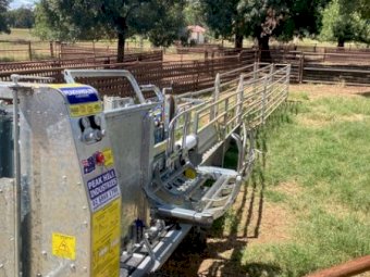 Peak Hill Rotary Sheep Handler