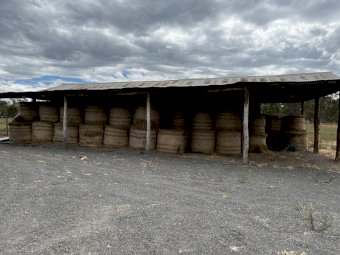 150  Oats Bales for Sale 5x4 Rolls av weight 375kg