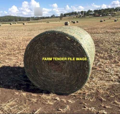 80 x Forage Sorghum & Millet 4x4 Round Netted Bales